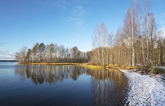 Ensilumi_Sokkasenniemi