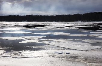 Jäälauttoja