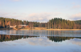 Jäätyvä lampi