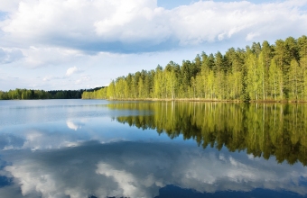 Keväinen järvimaisema