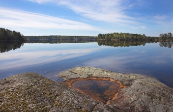 Kangassaarenselkää
