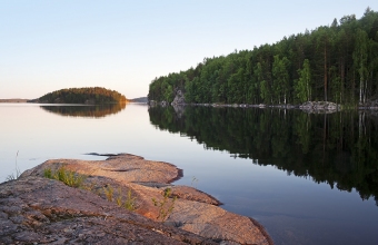 Saari ja niemi