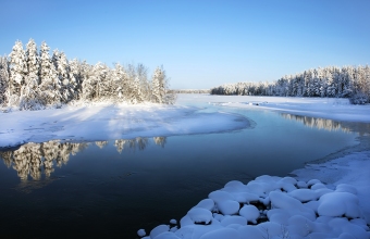 Rauhasalmi
