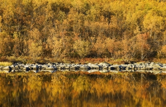 Ruskarantaa