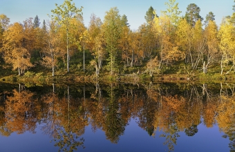 Ruskarantainen_lampi