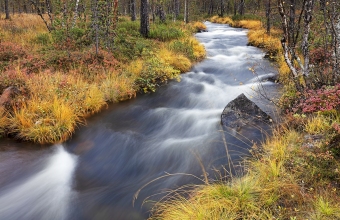 Suivakkojoki