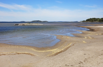 Hanko Vedagrundet