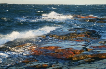 Tyrskyrantaa