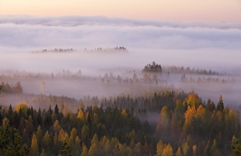 Neitvuoren sumuaamu