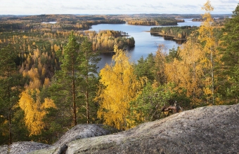 Neitvuoren syksykuva