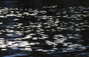 Kiiltävät_lumpeet