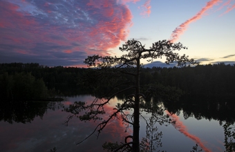 Punapilviä lammella