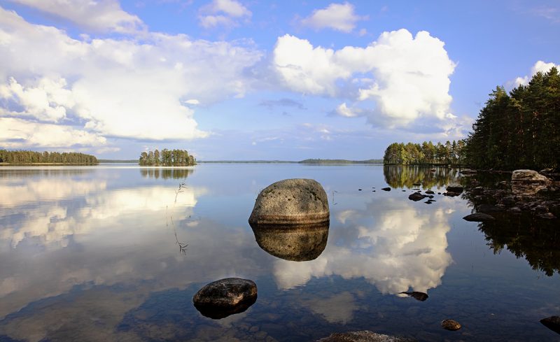 Järvi